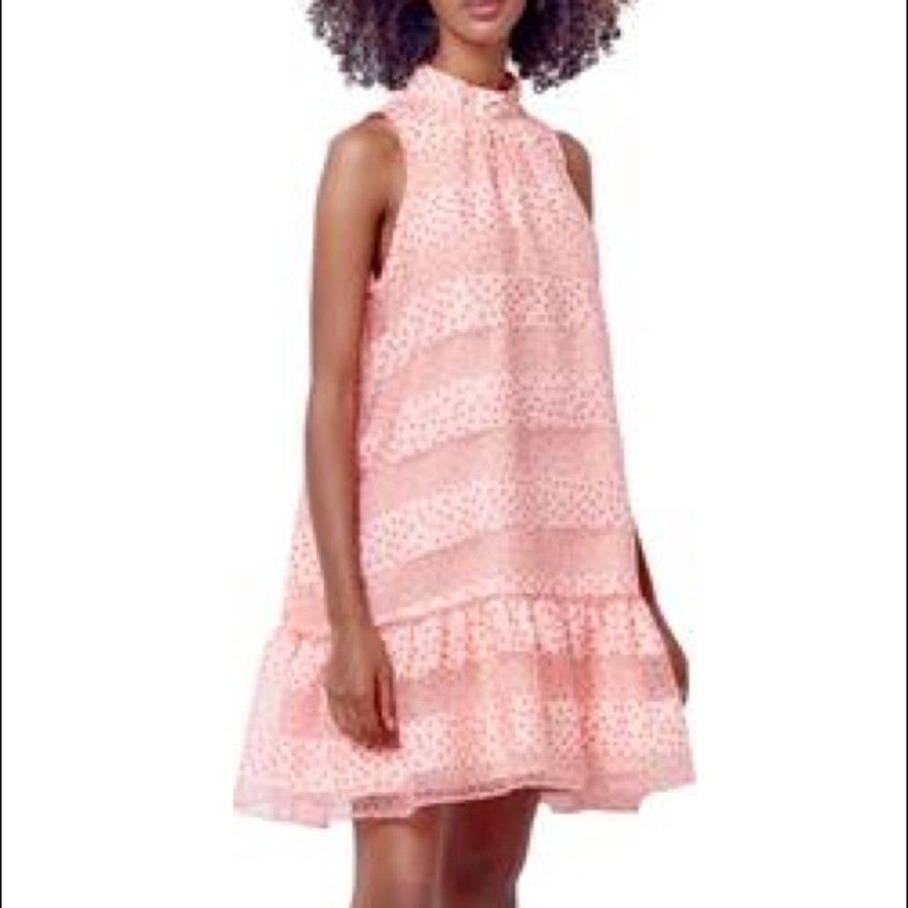 Corey Lynn Calter Claude Dress , NWOT S